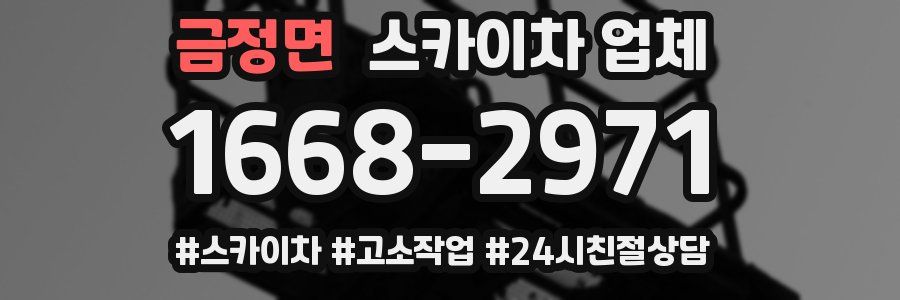 금정면 스카이차 업체