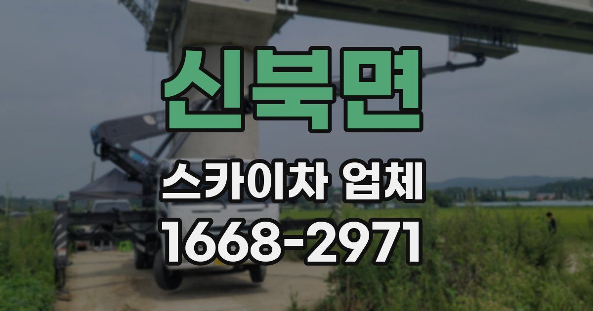 신북면 스카이차 업체