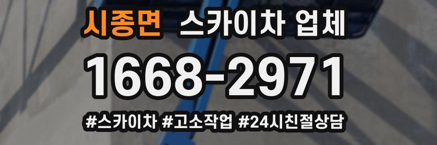 시종면 스카이차 업체