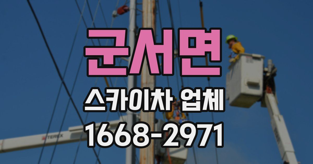 군서면 스카이차 업체