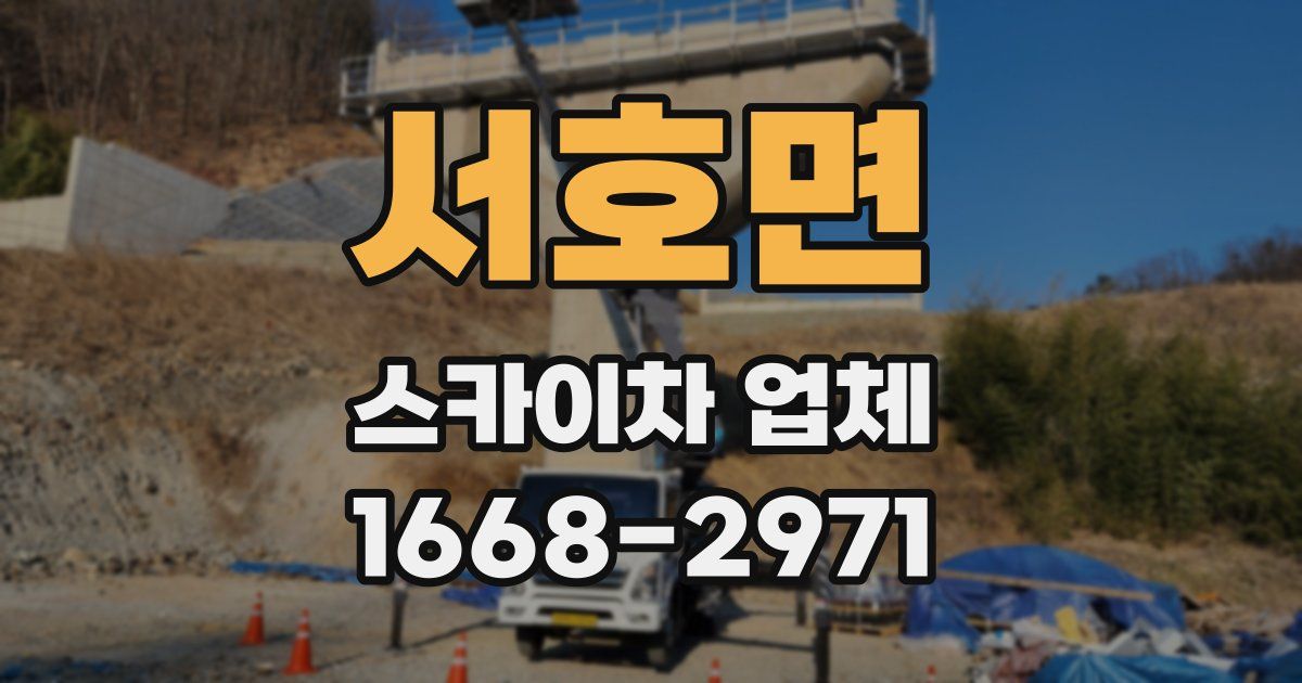 서호면 스카이차 업체