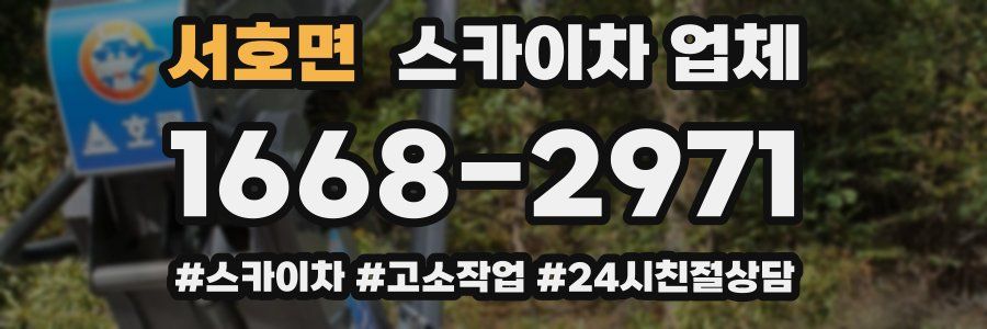 서호면 스카이차 업체