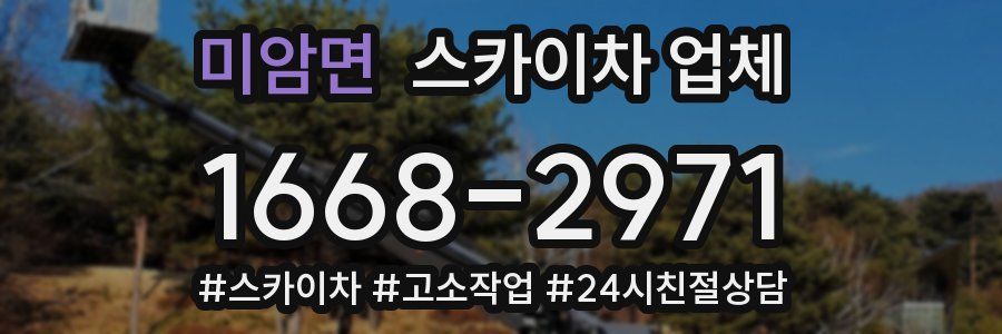 미암면 스카이차 업체