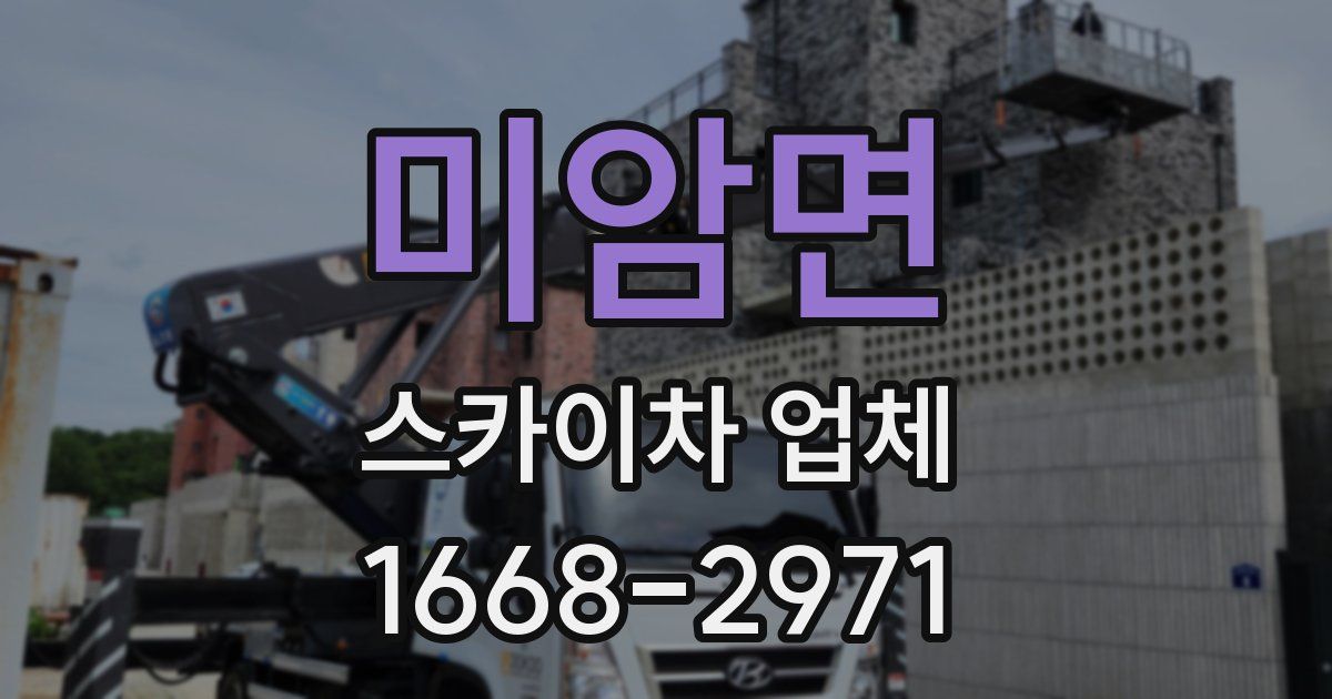 미암면 스카이차 업체