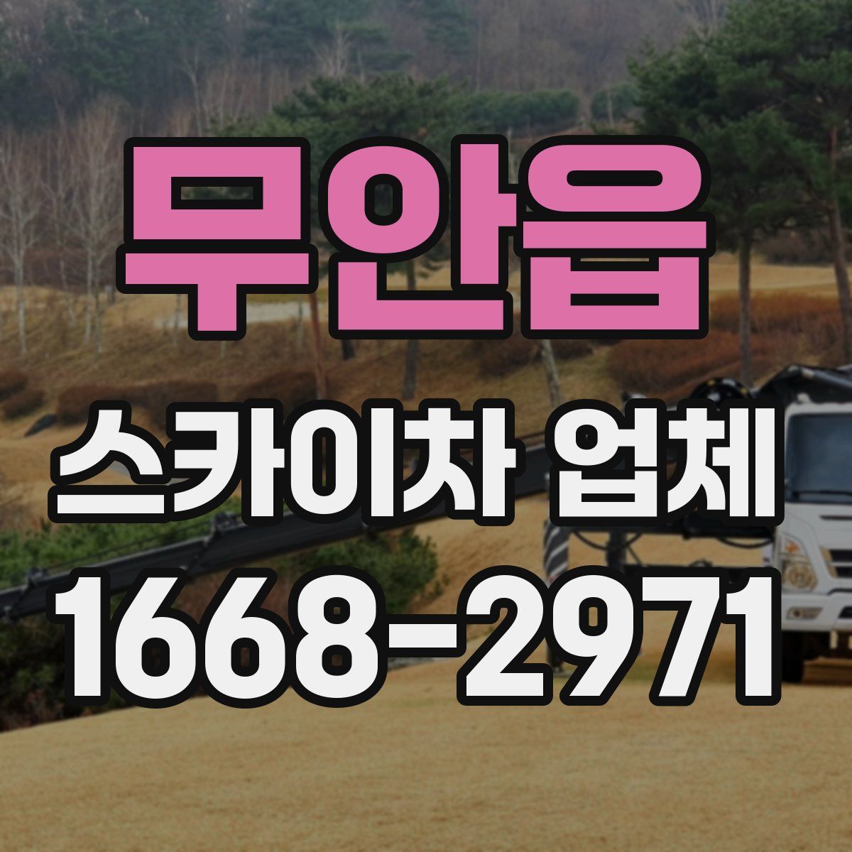 무안읍 스카이차 업체