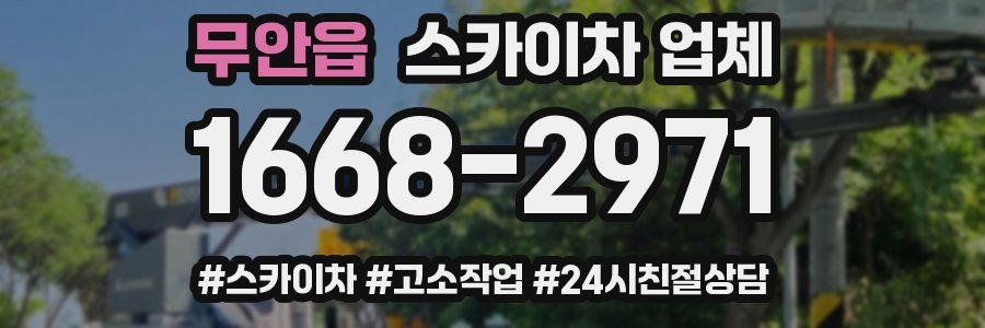 무안읍 스카이차 업체