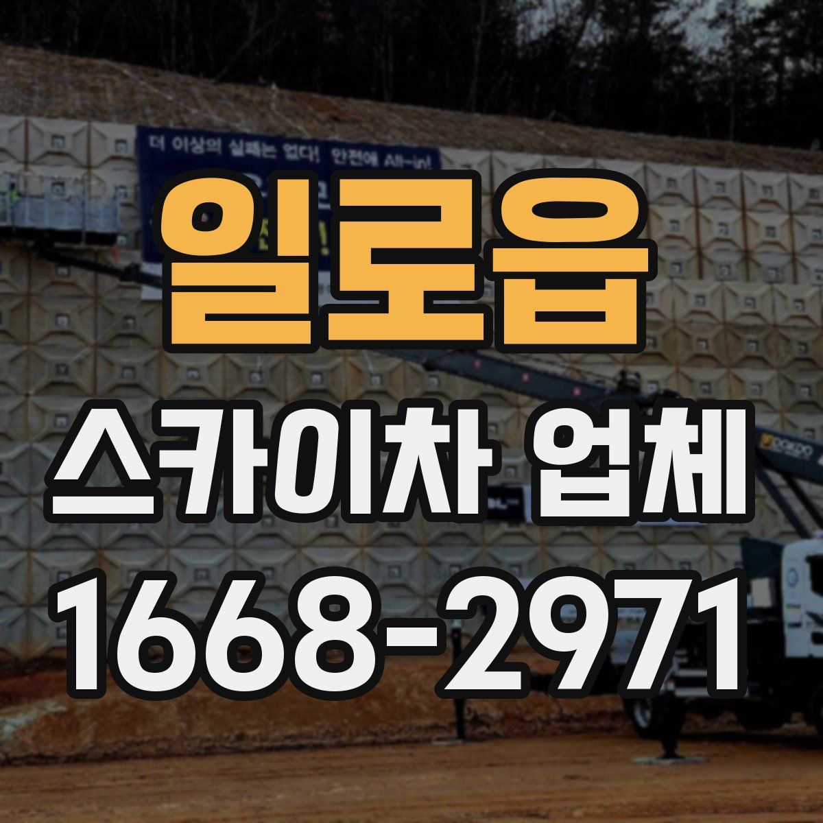 일로읍 스카이차 업체