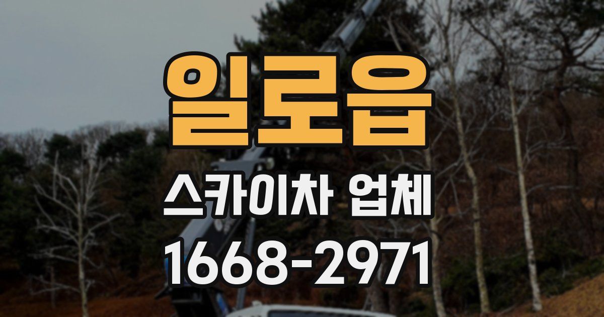 일로읍 스카이차 업체