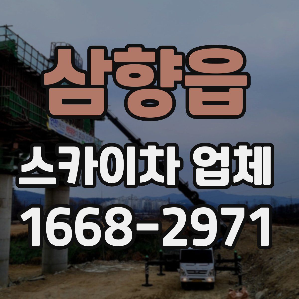삼향읍 스카이차 업체