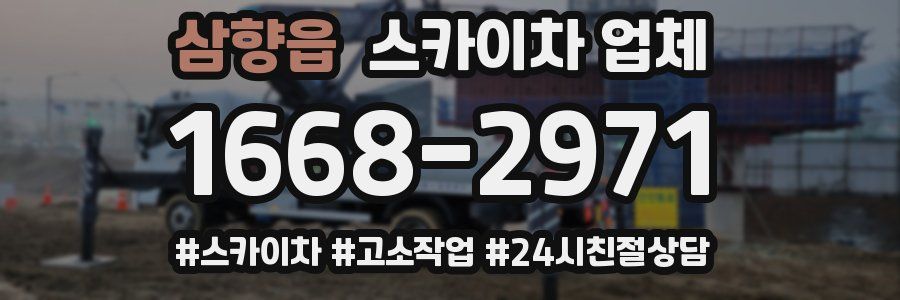 삼향읍 스카이차 업체