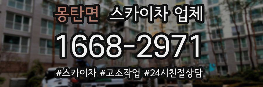몽탄면 스카이차 업체
