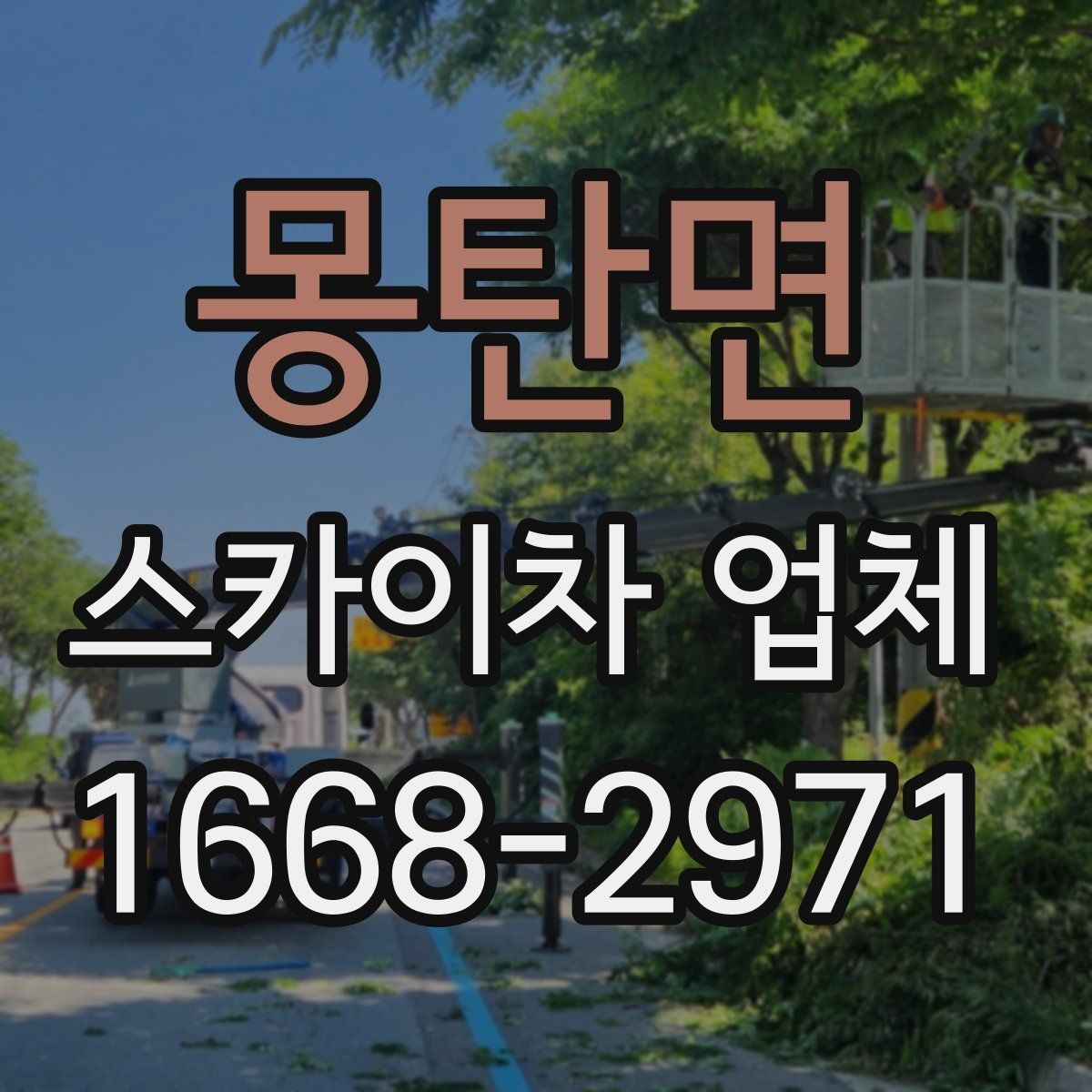 몽탄면 스카이차 업체