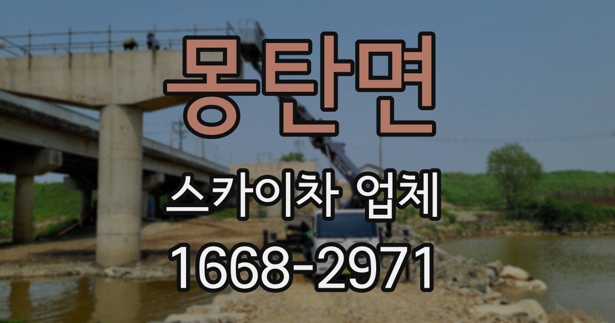 몽탄면 스카이차 업체
