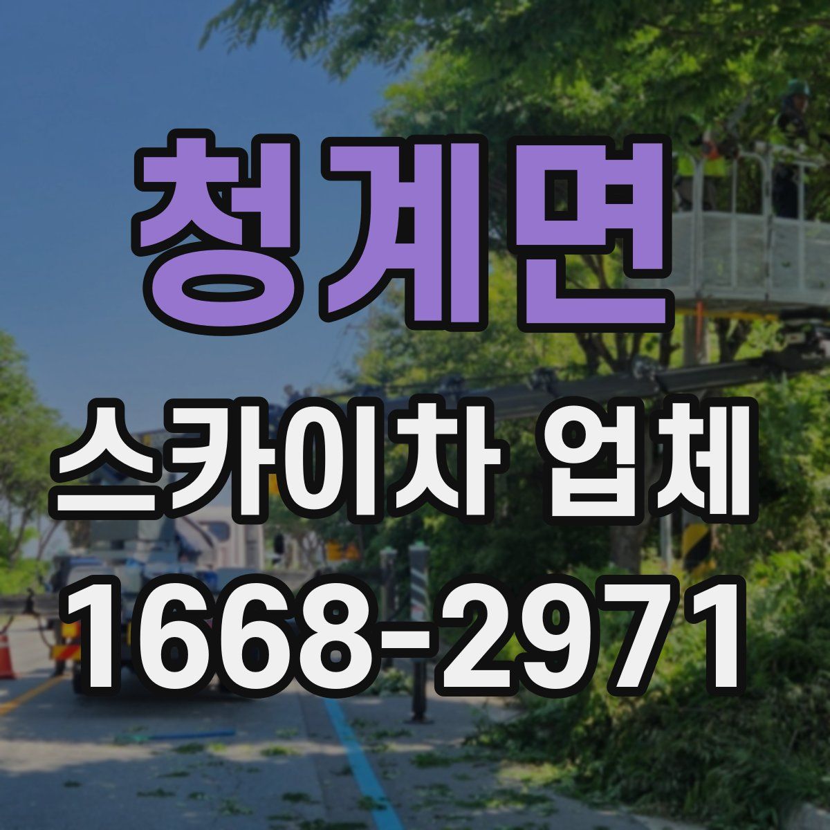 청계면 스카이차 업체
