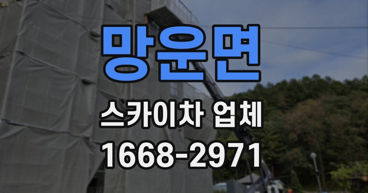 망운면 스카이차 업체