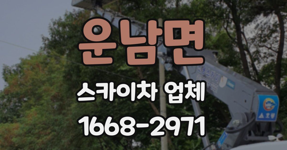 운남면 스카이차 업체