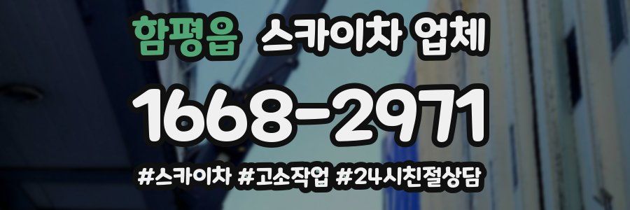 함평읍 스카이차 업체
