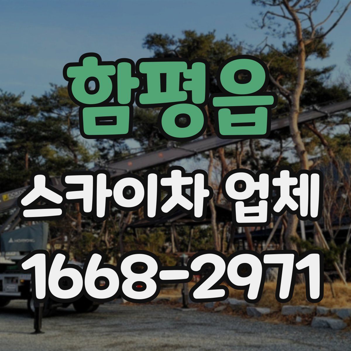함평읍 스카이차 업체
