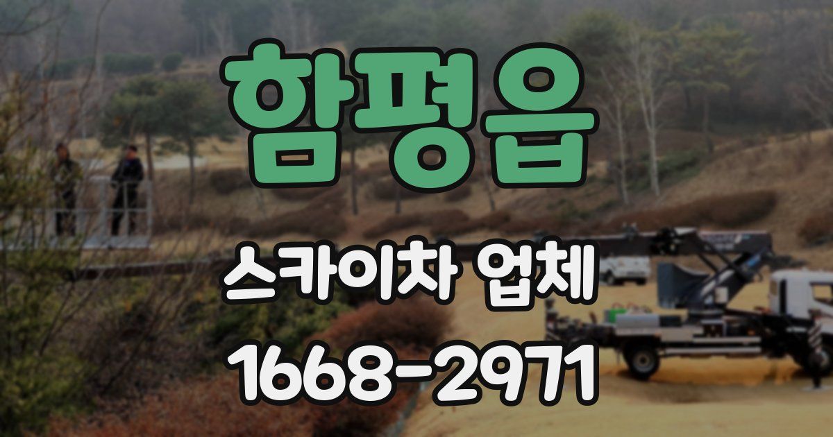 함평읍 스카이차 업체