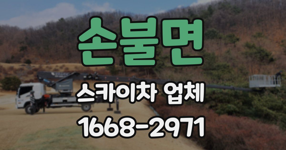 손불면 스카이차 업체
