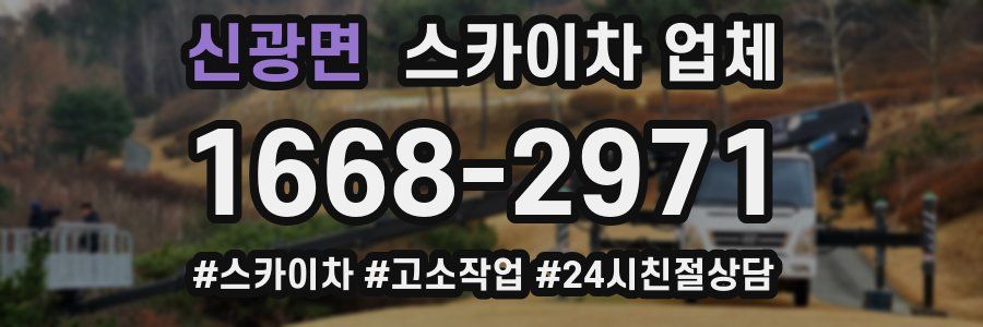 신광면 스카이차 업체