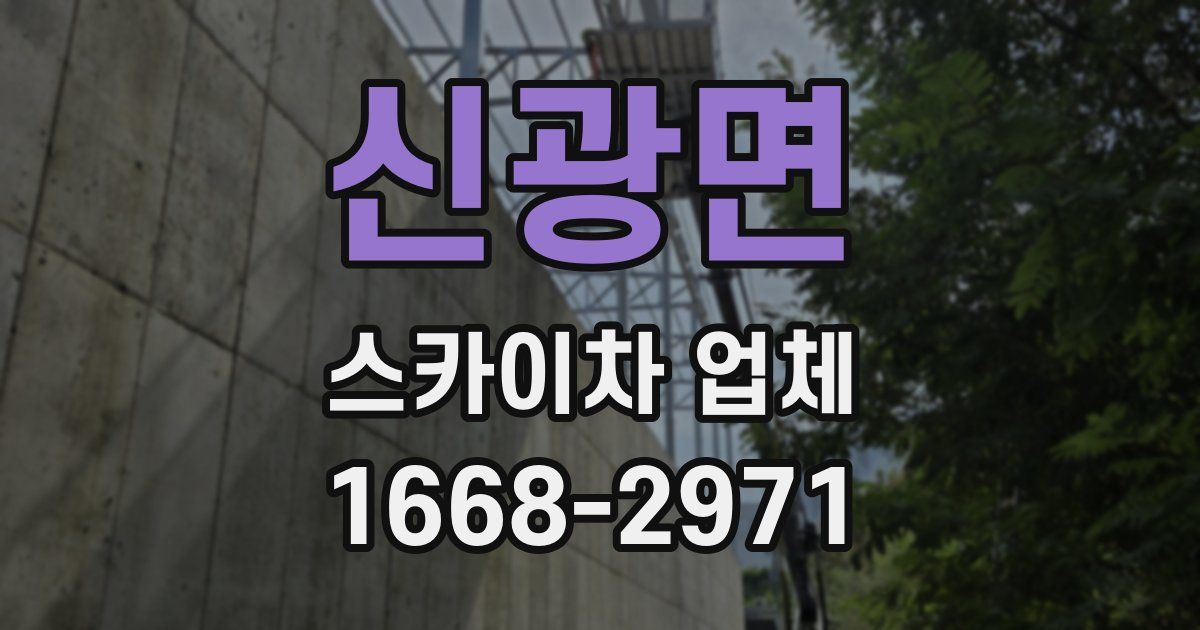 신광면 스카이차 업체