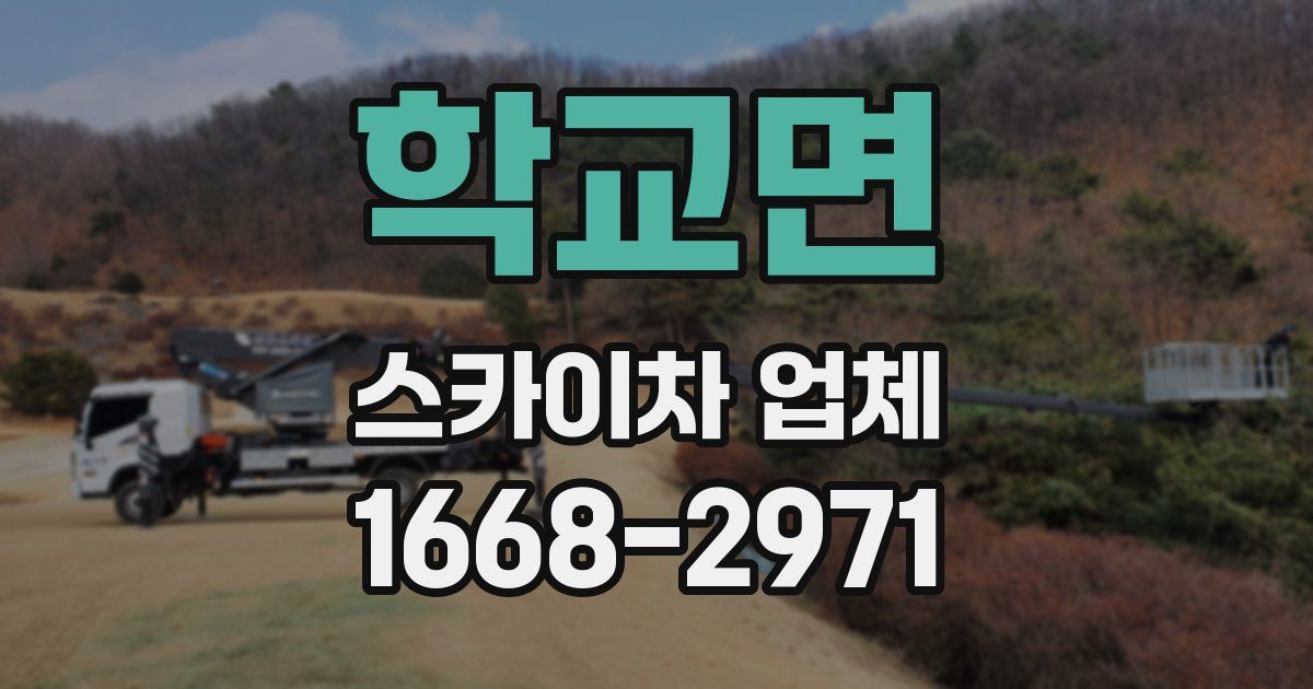 학교면 스카이차 업체