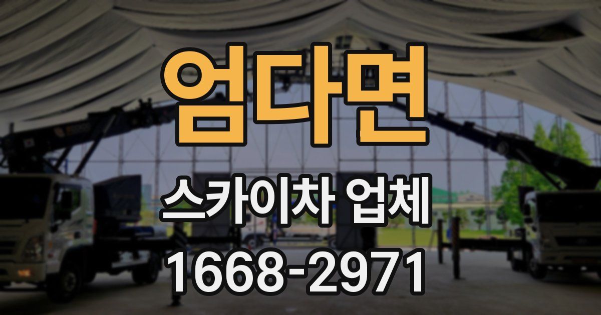 엄다면 스카이차 업체