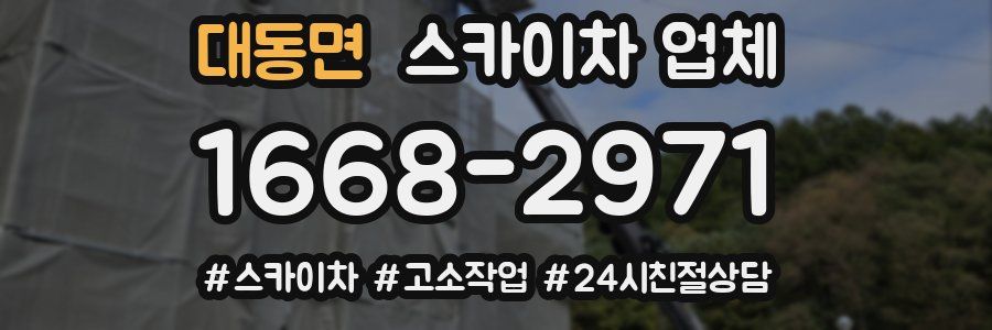 대동면 스카이차 업체