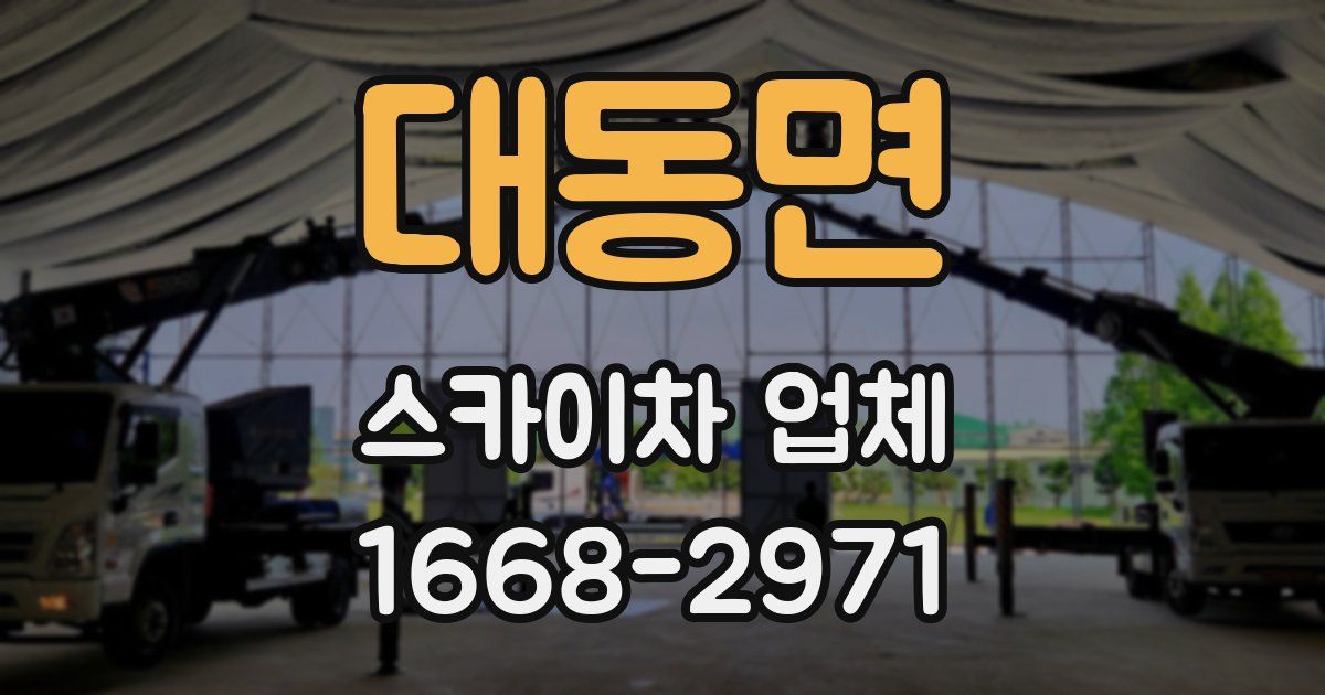 대동면 스카이차 업체