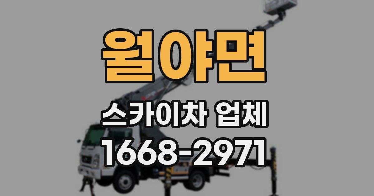 월야면 스카이차 업체