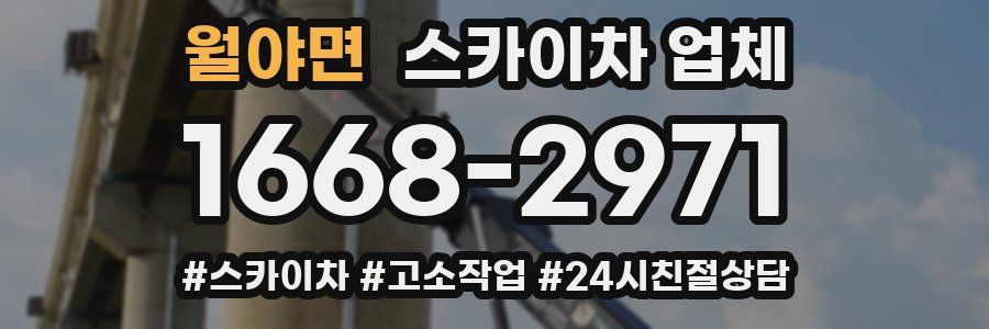 월야면 스카이차 업체