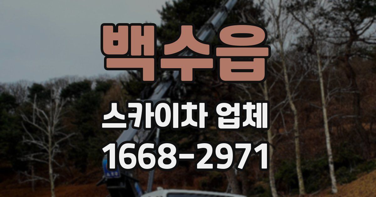 백수읍 스카이차 업체