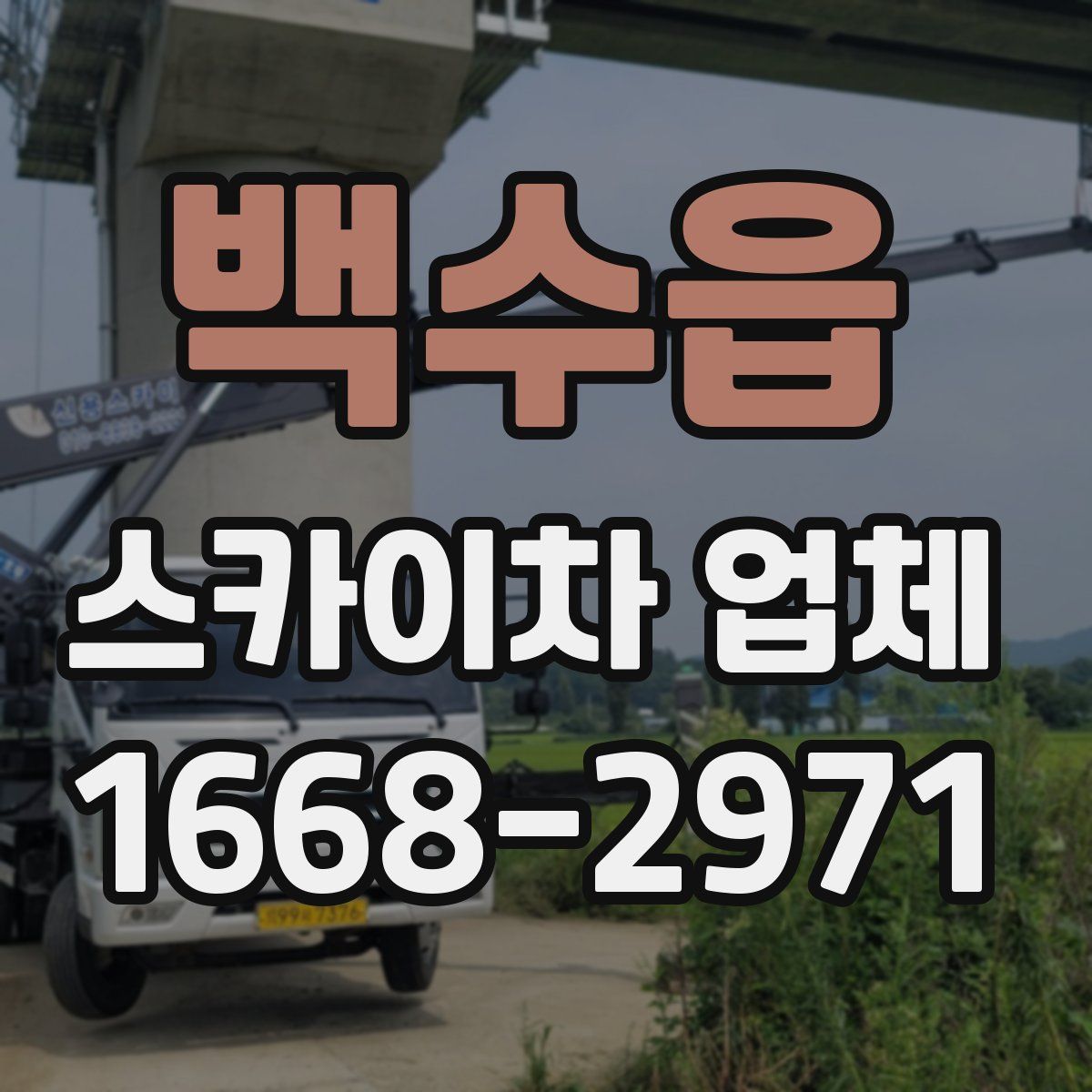 백수읍 스카이차 업체