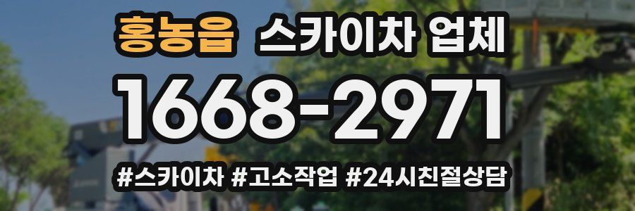 홍농읍 스카이차 업체