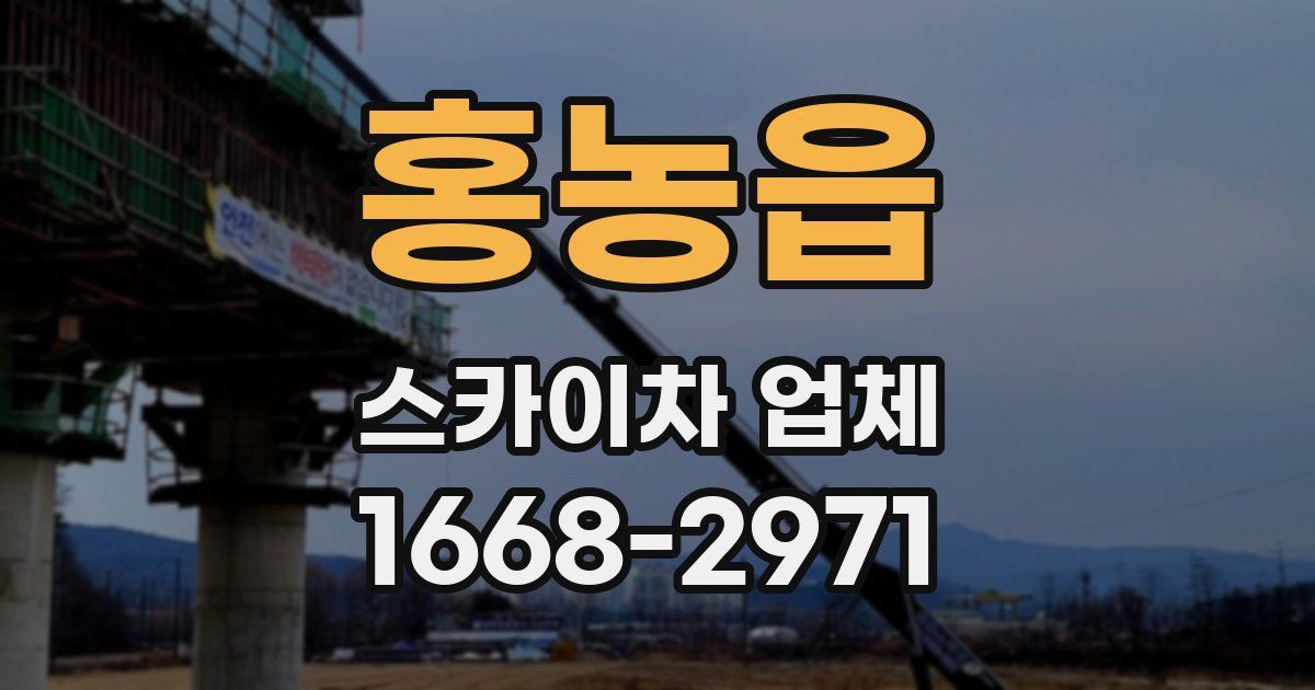 홍농읍 스카이차 업체