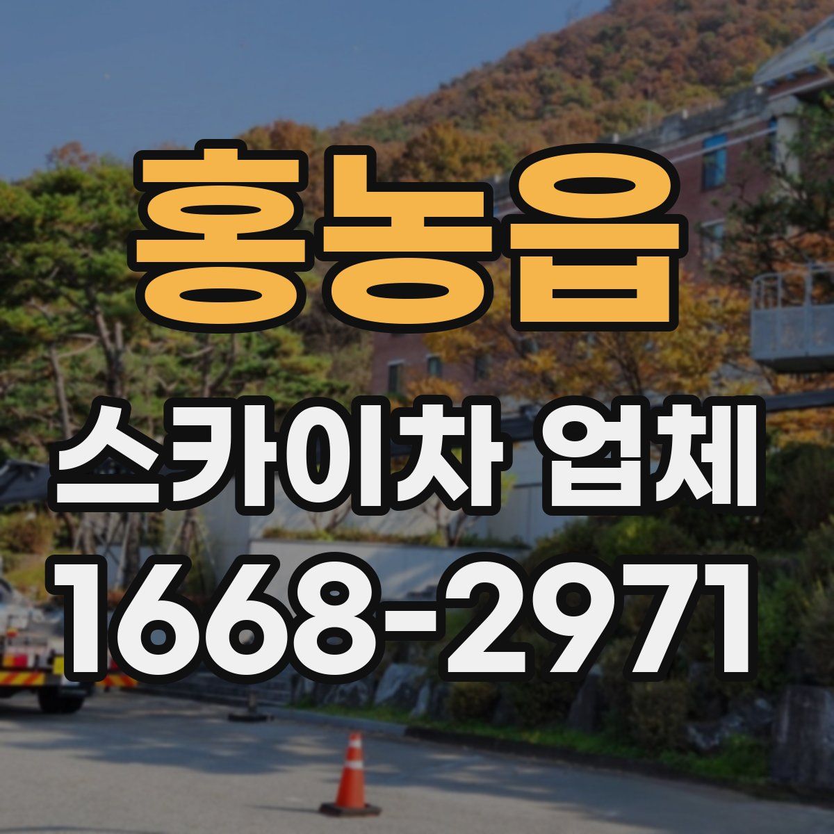 홍농읍 스카이차 업체