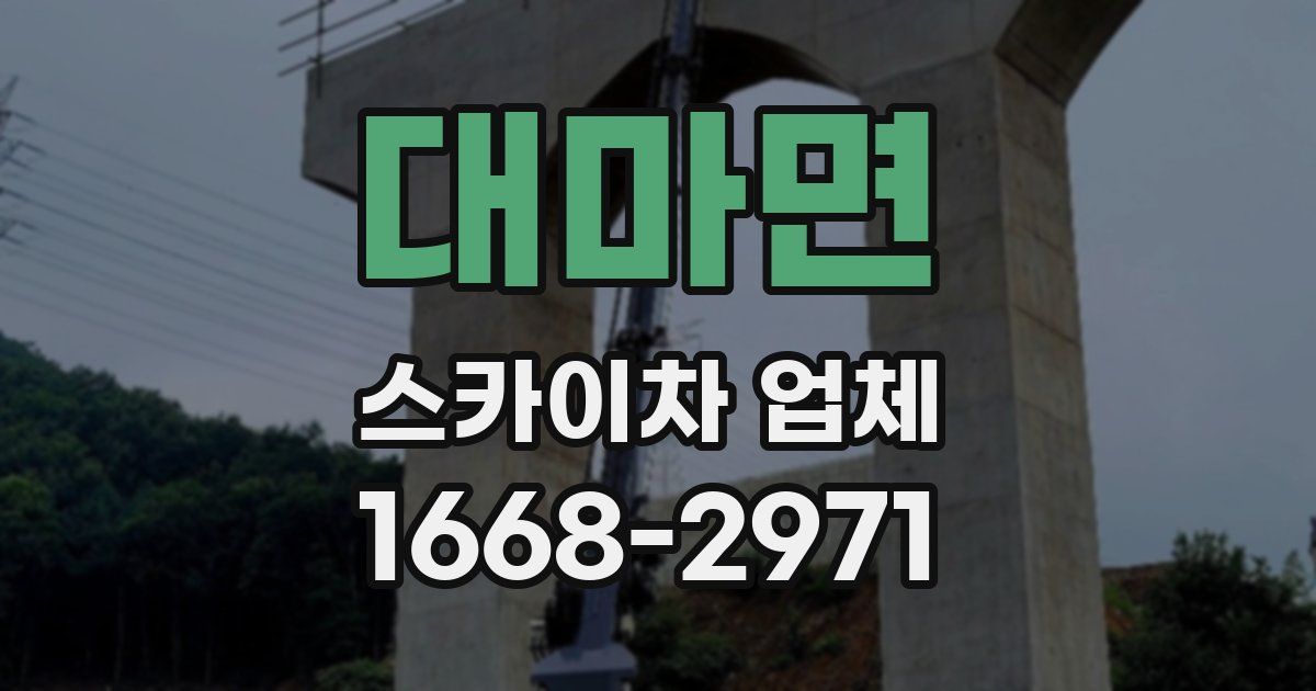 대마면 스카이차 업체