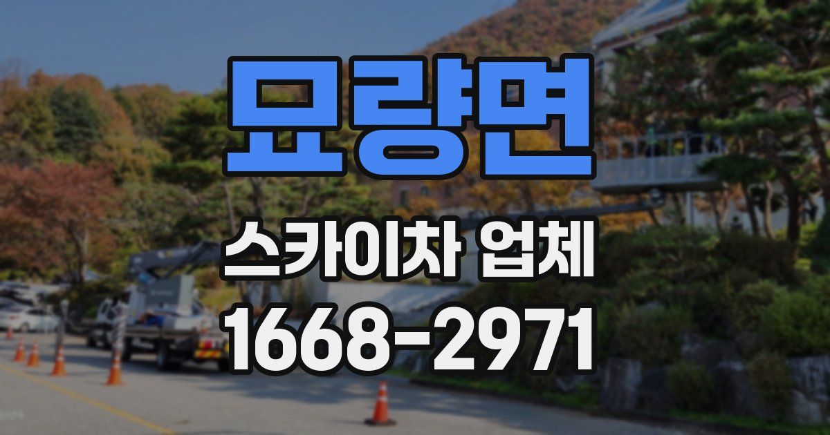 묘량면 스카이차 업체