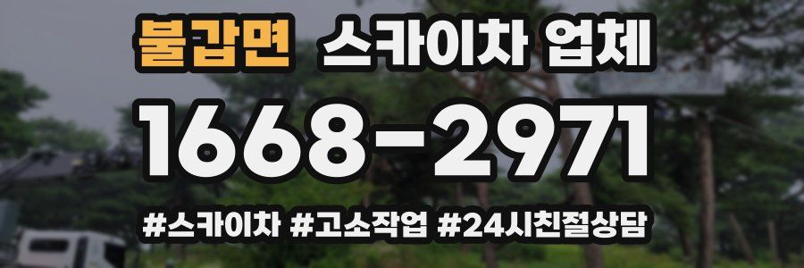 불갑면 스카이차 업체