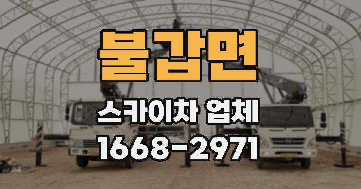 불갑면 스카이차 업체
