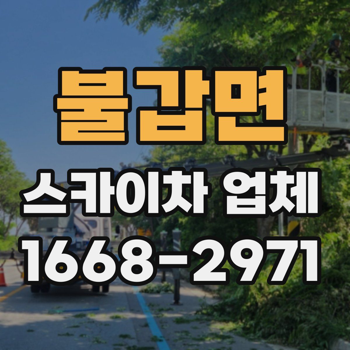 불갑면 스카이차 업체