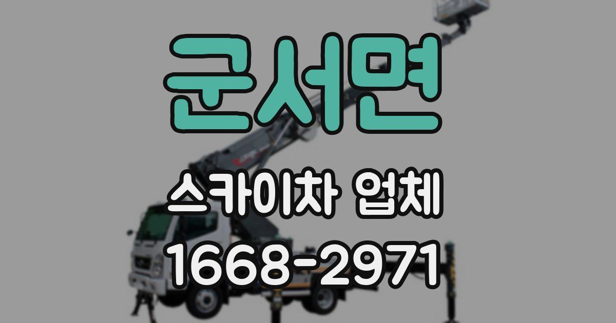 군서면 스카이차 업체