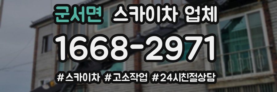 군서면 스카이차 업체
