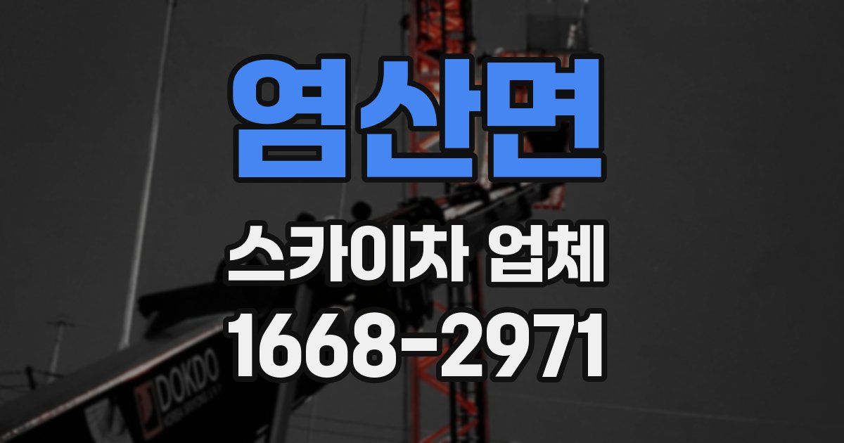 염산면 스카이차 업체