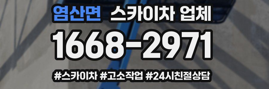염산면 스카이차 업체