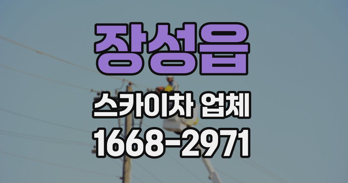 장성읍 스카이차 업체