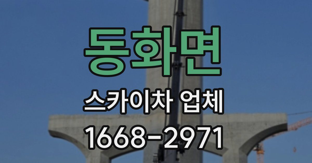 동화면 스카이차 업체