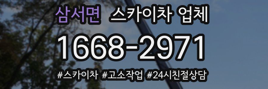 삼서면 스카이차 업체