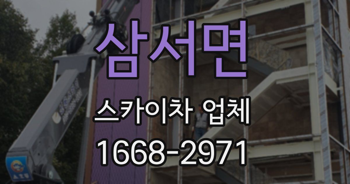 삼서면 스카이차 업체